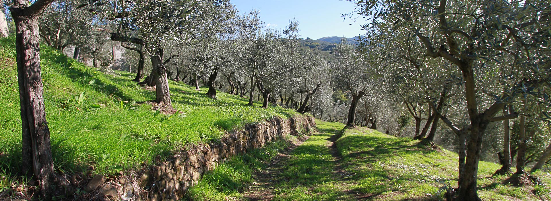 Lamporecchio: un territorio tutto da scoprire