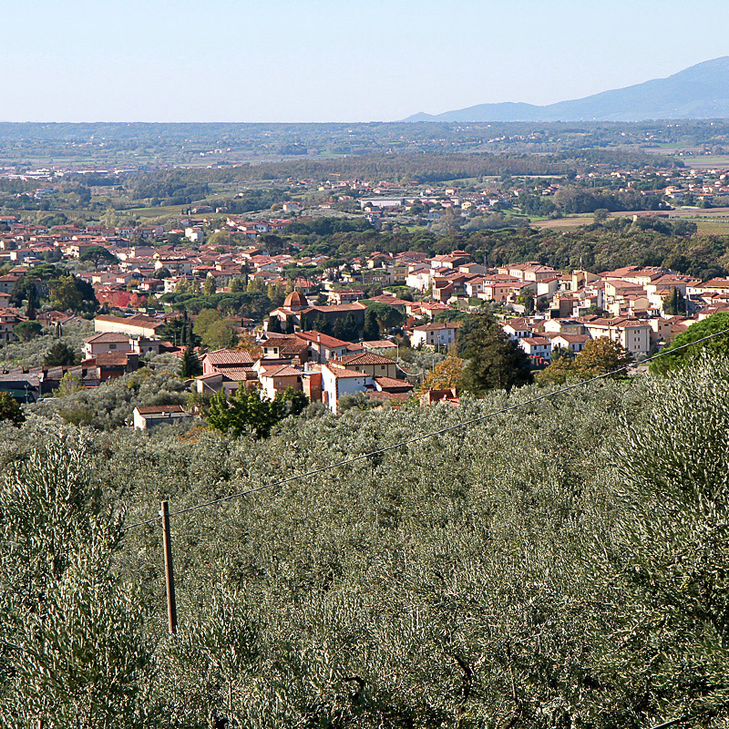 Lamporecchio Tuscany Montalbano