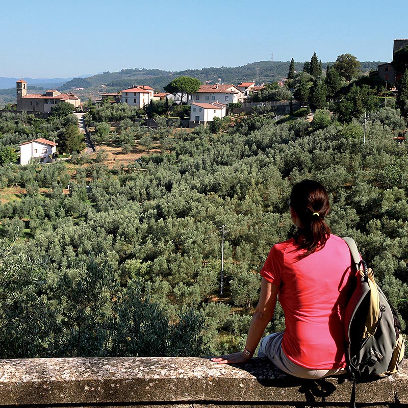 Montalbano colline Lamporecchio