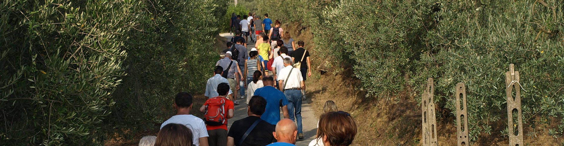 Paths and naturalistic trails on the Montalbano