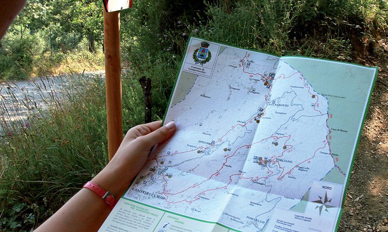 Paths and naturalistic trails-Montalbano