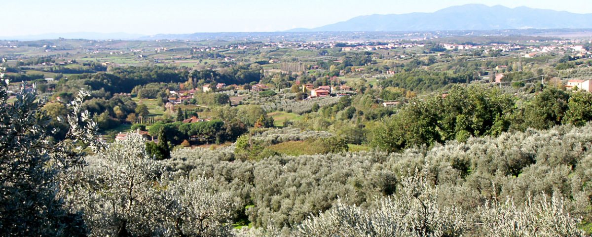 territorio-lamporecchio-Toscana