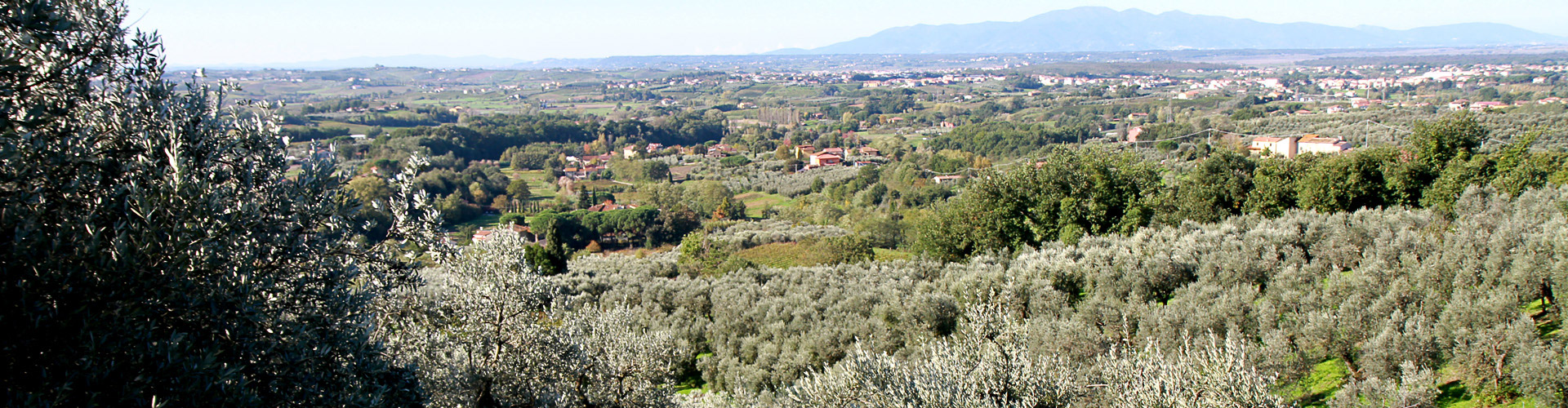 territorio-lamporecchio-Toscana
